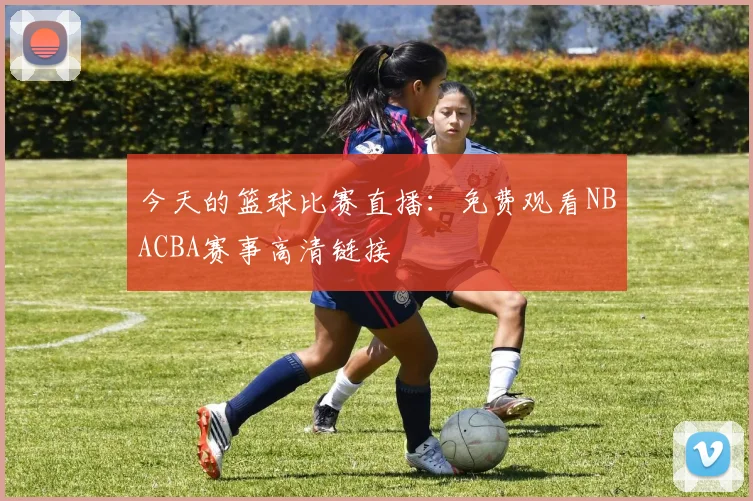 今天的篮球比赛直播：免费观看NBACBA赛事高清链接