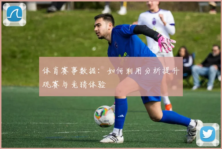 体育赛事数据：如何利用分析提升观赛与竞猜体验