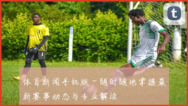 体育新闻手机版 - 随时随地掌握最新赛事动态与专业解读