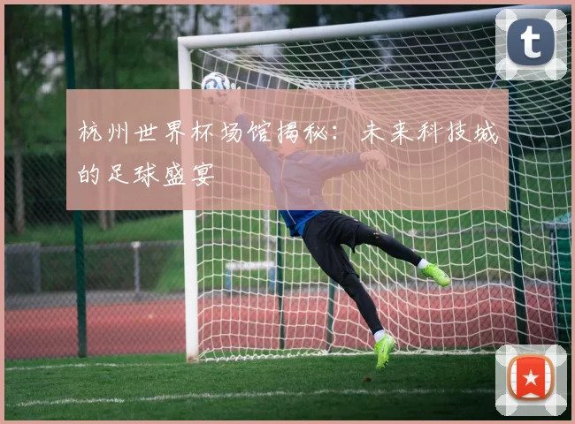 杭州世界杯场馆揭秘：未来科技城的足球盛宴